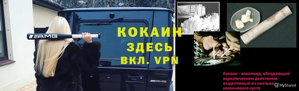 гашик Богородицк