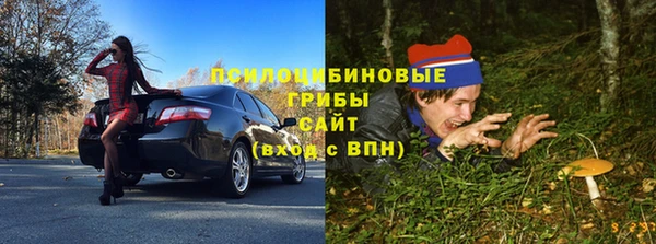 гашик Богородицк