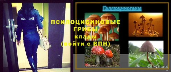 гашик Богородицк